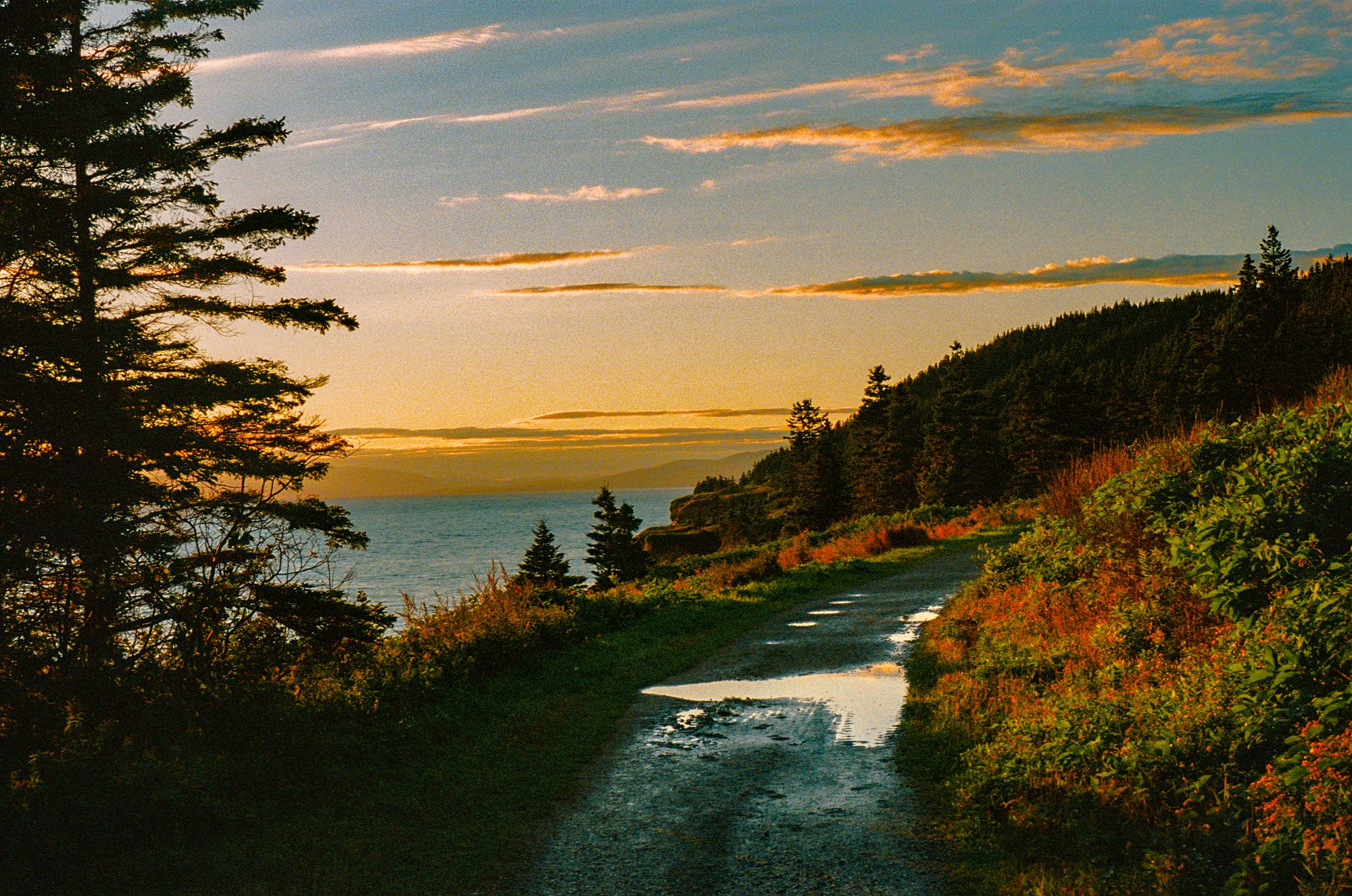 The Traversal - Film Photography