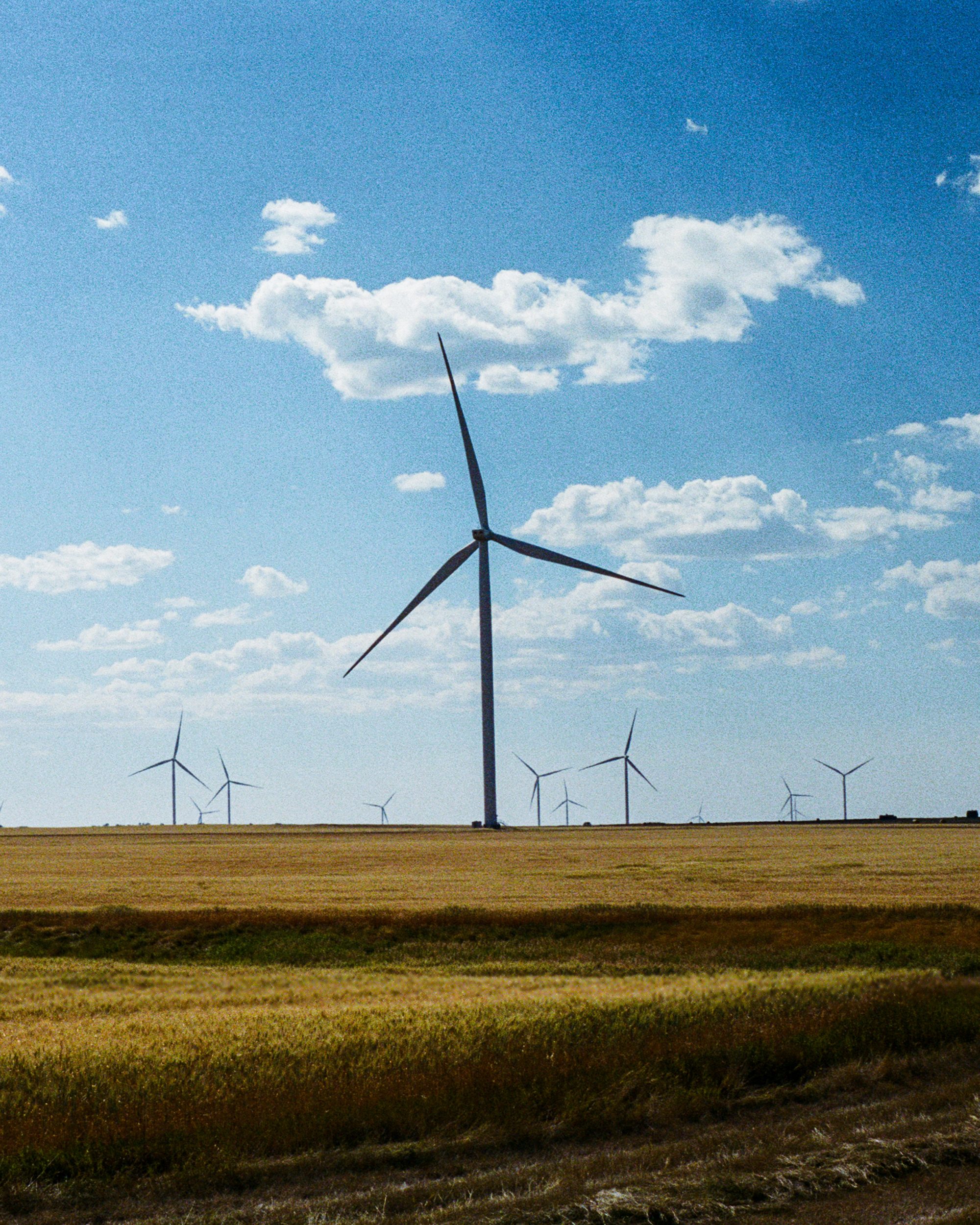 The Traversal - Film Photography