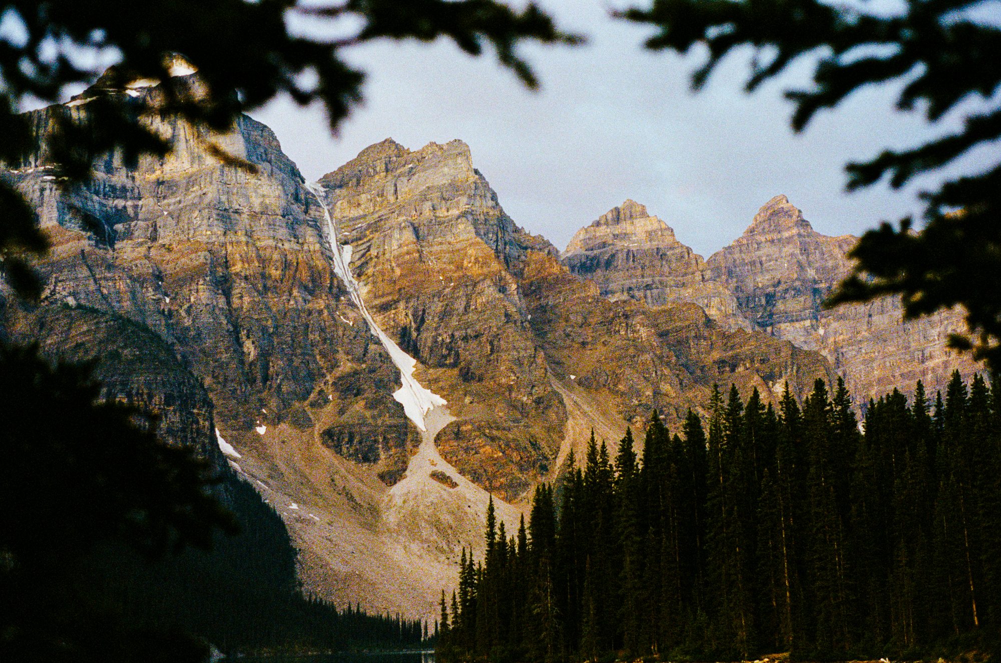 The Traversal - Film Photography