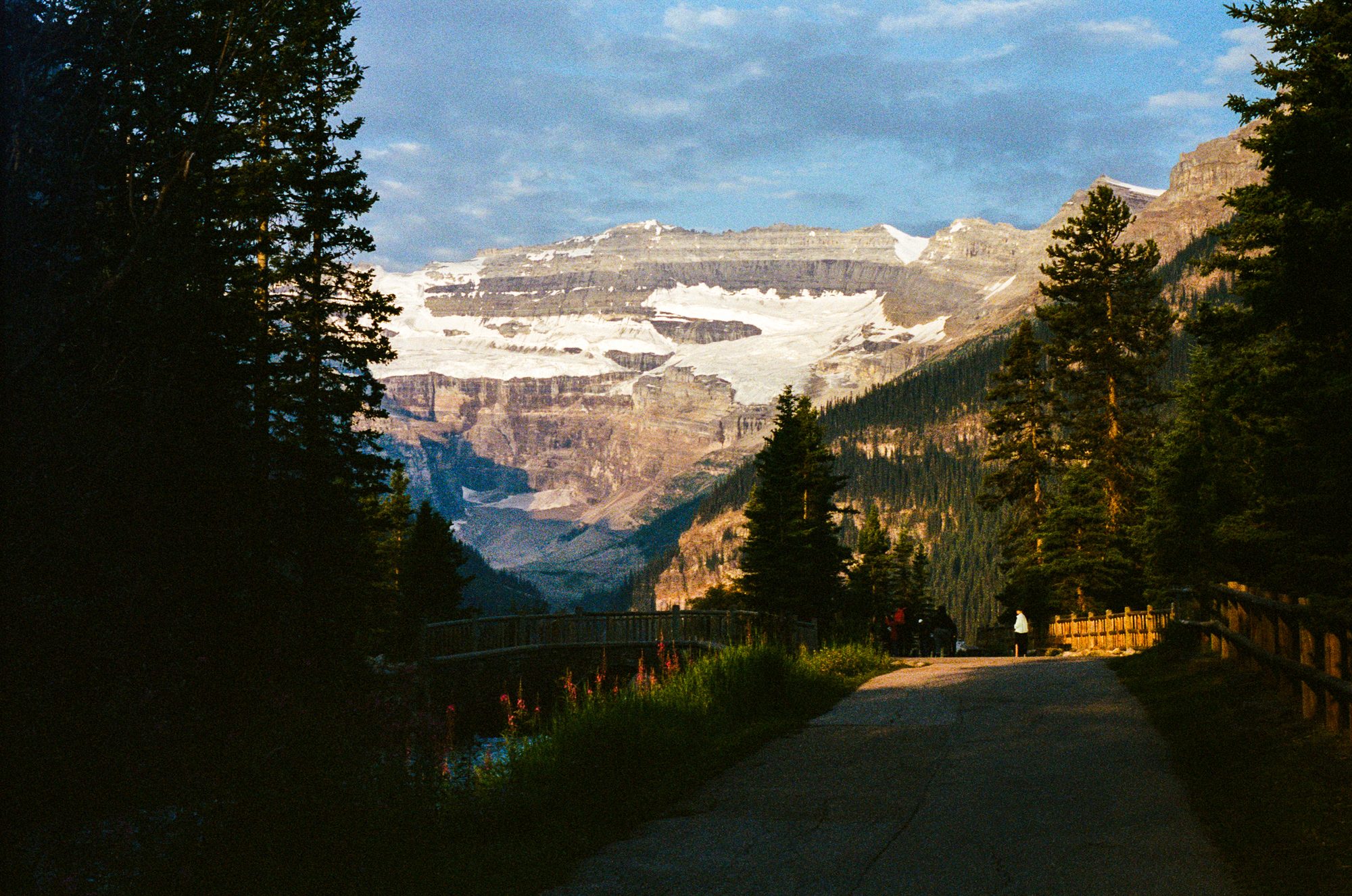 The Traversal - Film Photography