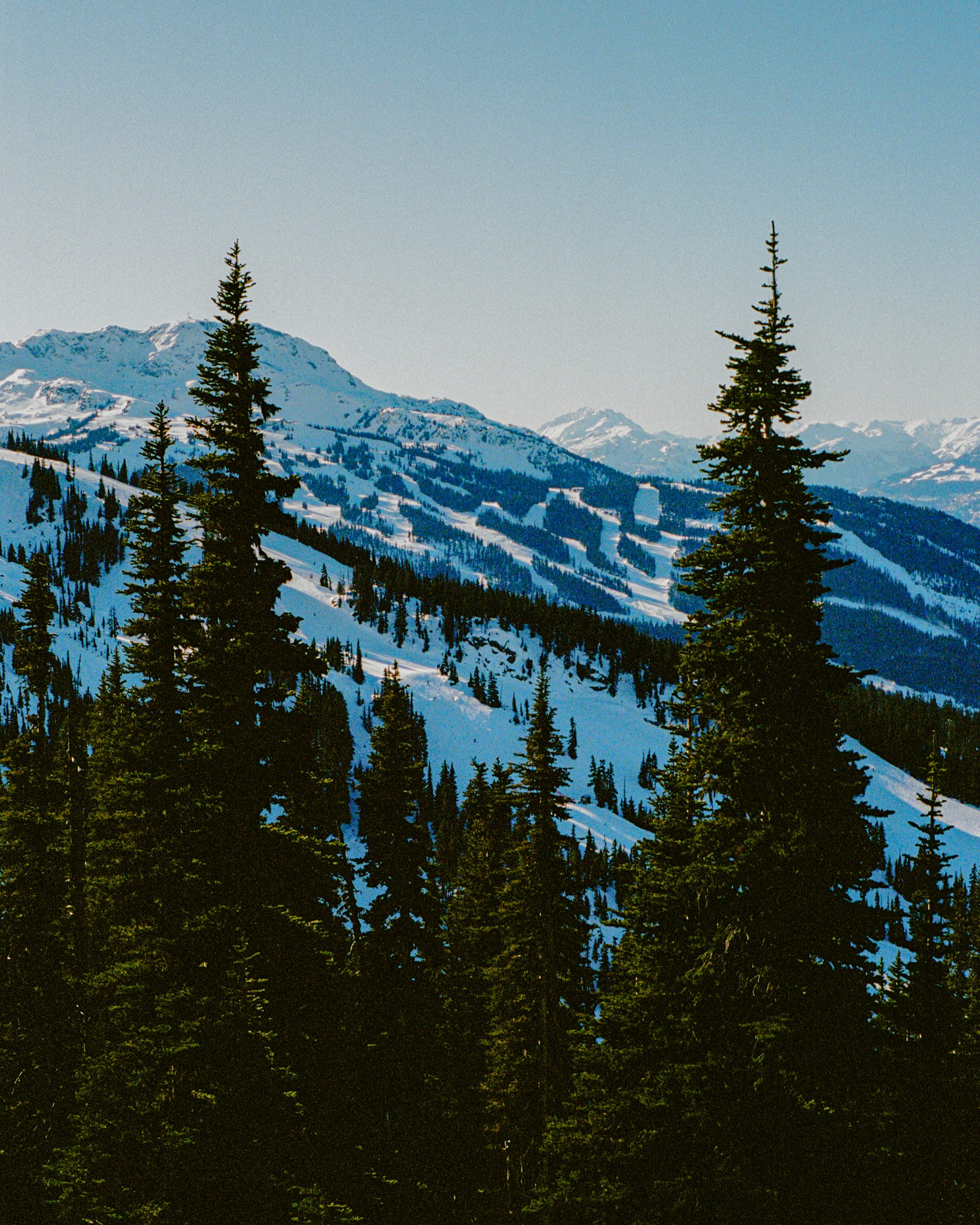 The Traversal - Film Photography