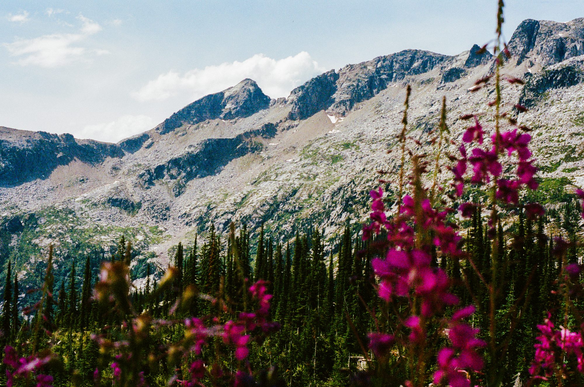 The Traversal - Film Photography