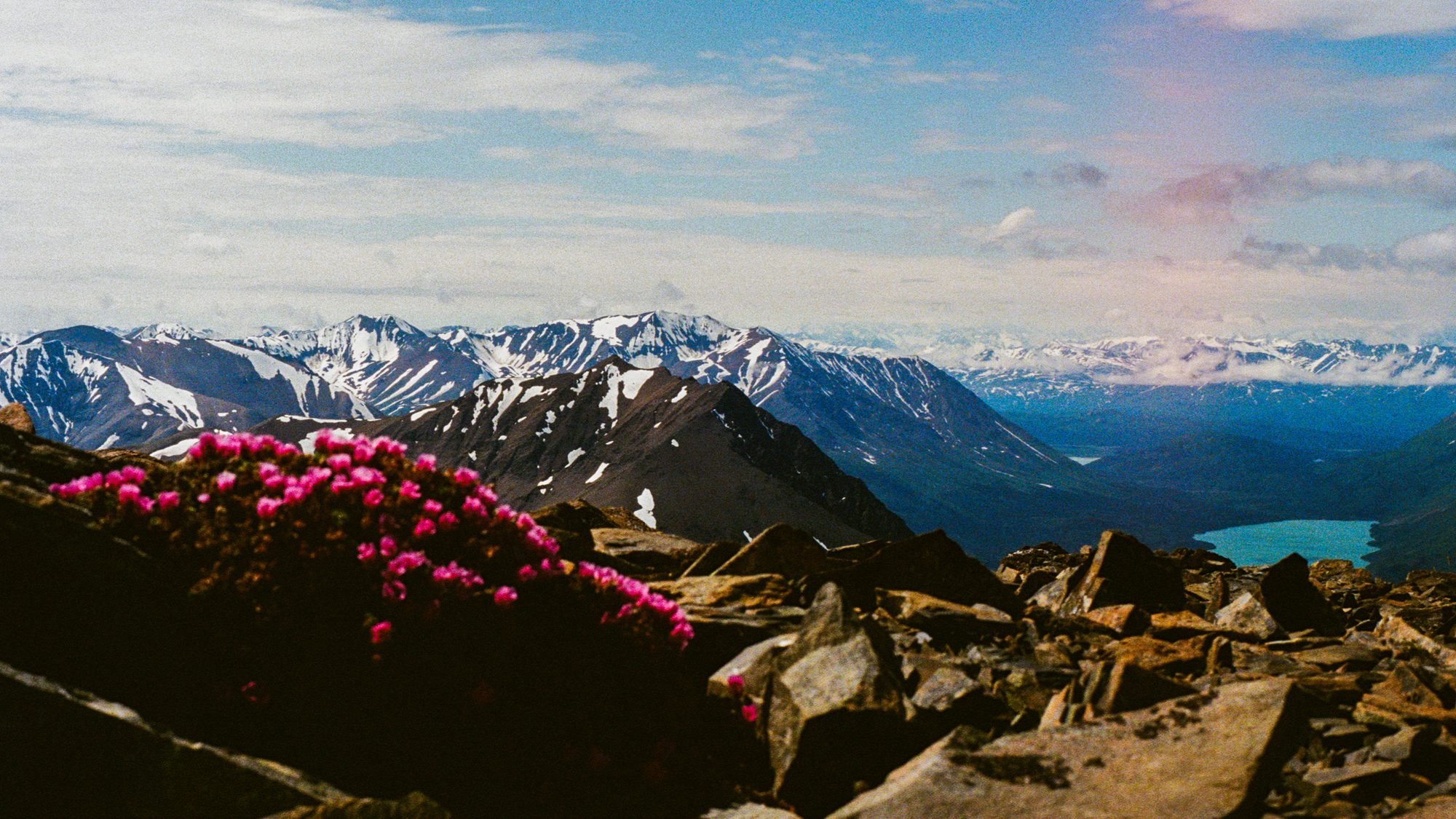 The Traversal - Film Photography